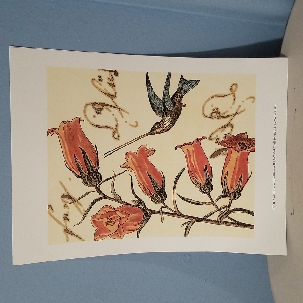 Hummingbird Prints - Picture 3 of 6